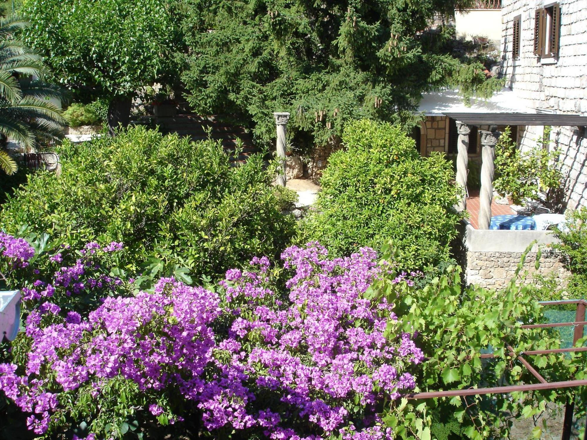 Villa Fede Mlini Dış mekan fotoğraf